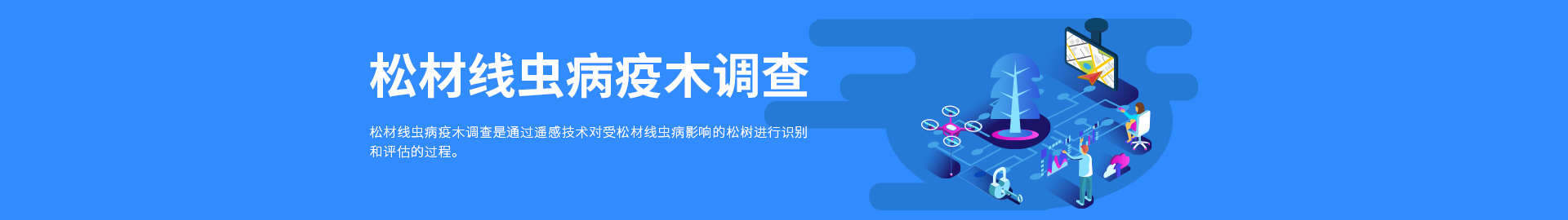 松材线虫病疫木视察