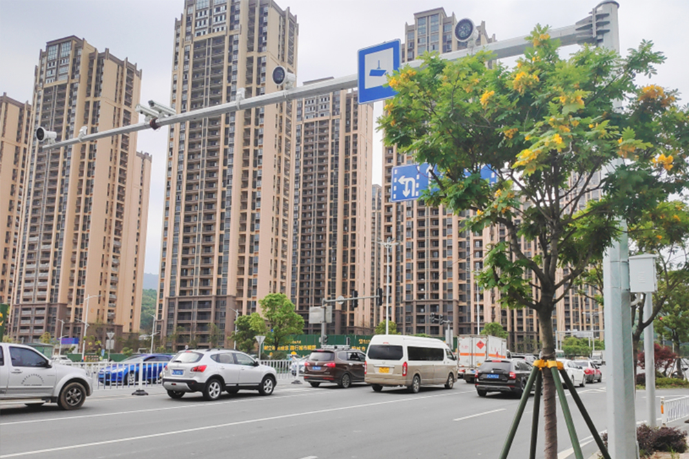 2023年某县数字都会项目