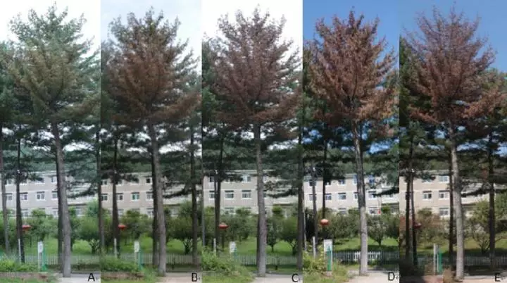 永鑫国际(中国游)有限公司官网