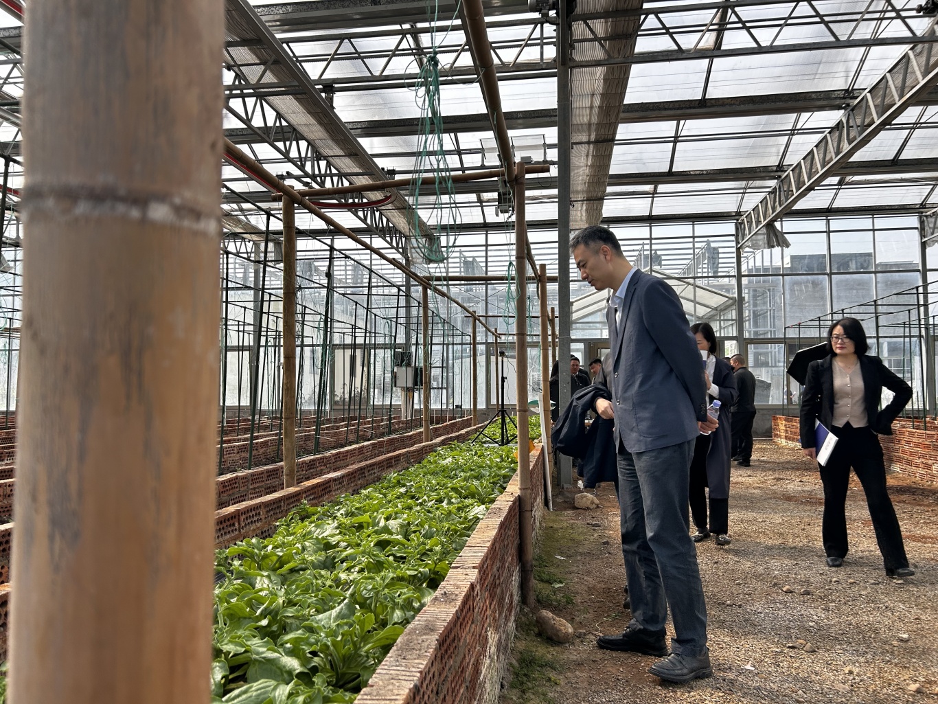 永鑫国际(中国游)有限公司官网