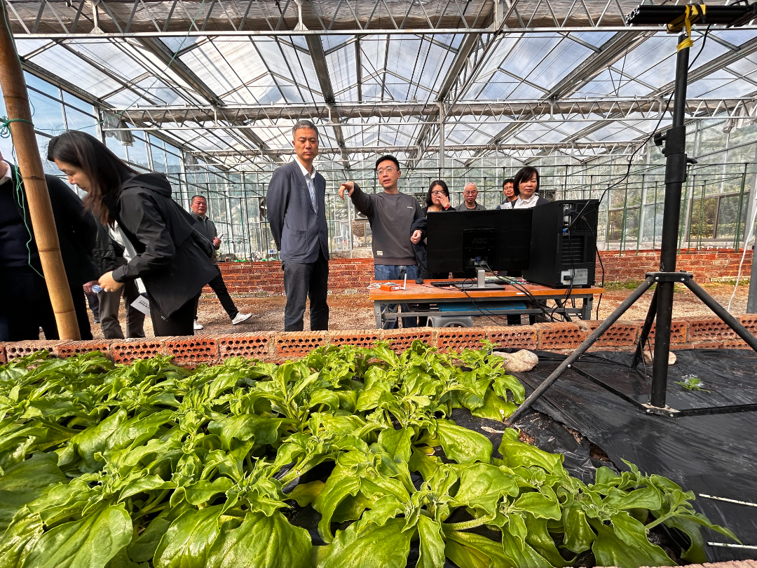 永鑫国际(中国游)有限公司官网